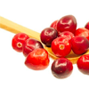 Cranberry extract - CytoForte Composition